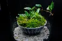 DSCF4549.webp