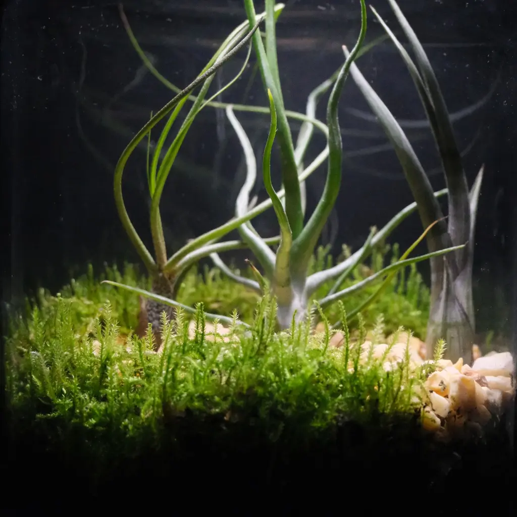 DSCF0944.webp