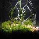 DSCF0944.webp