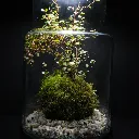 DSCF1188.webp