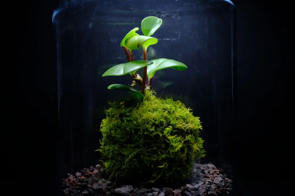 DSCF4573.webp