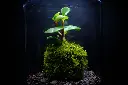 DSCF4573.webp
