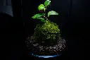 DSCF4576.webp