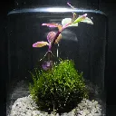 DSCF1157.webp