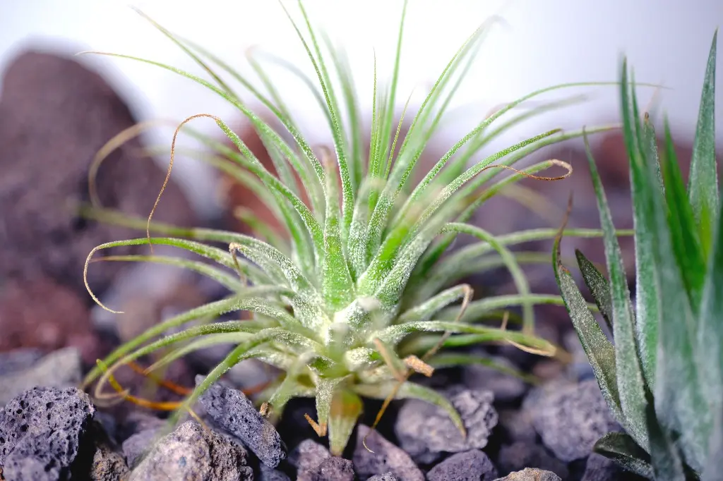 DSCF5939.webp