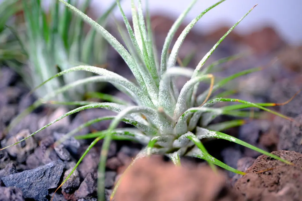 DSCF5936.webp
