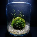 DSCF7611.webp