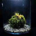 DSCF7353.webp