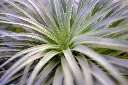 DSCF6005.webp