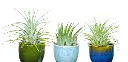 dfhdfh-Photoroom (1).webp