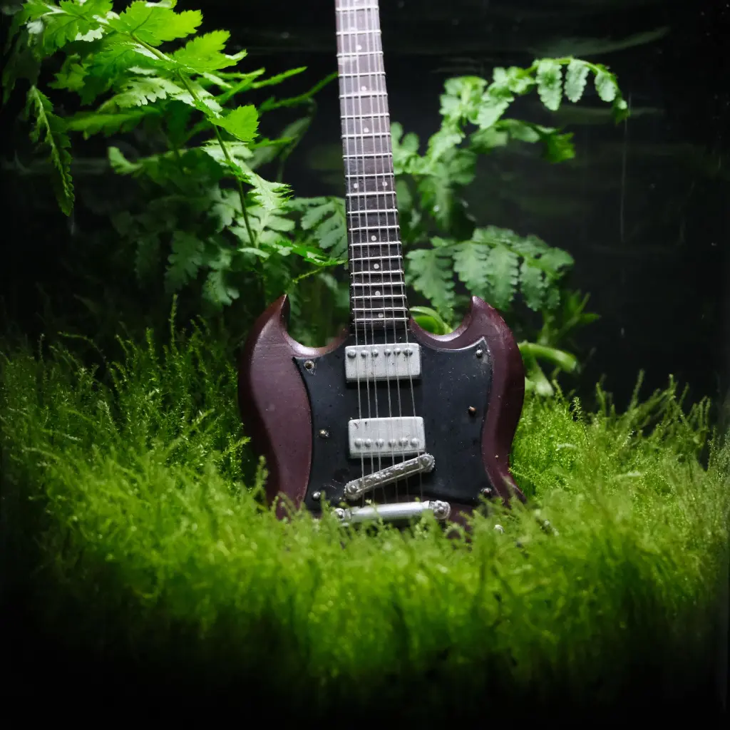 DSCF0963.webp