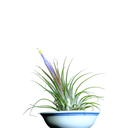 DSCF1347-Photoroom.png