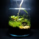DSCF7296.webp
