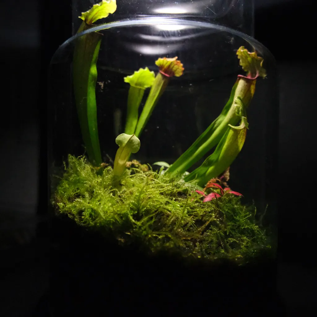 DSCF0901.webp