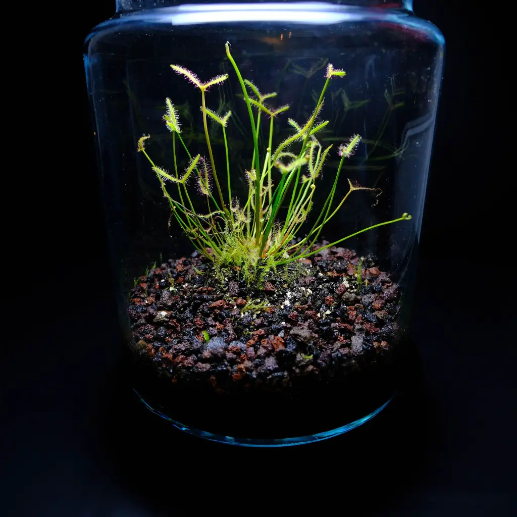 DSCF3898.webp