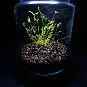 DSCF3898.webp