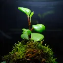 DSCF7374.webp