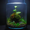 DSCF7381.webp