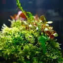 DSCF7320.webp