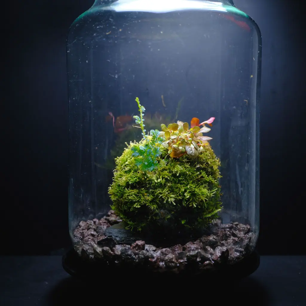 DSCF7313.webp