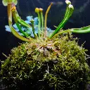 DSCF7836.webp