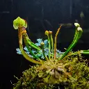 DSCF7840.webp