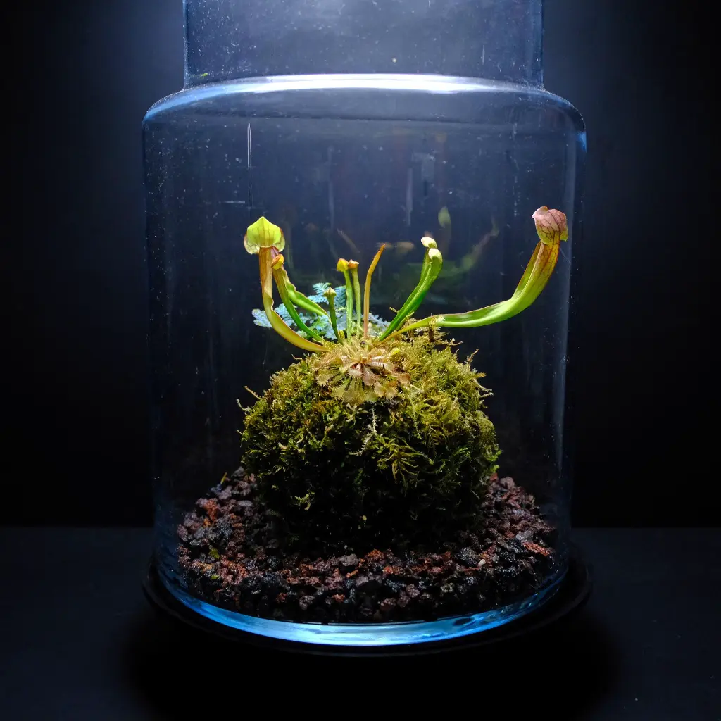 DSCF7829.webp