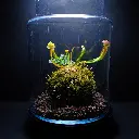 DSCF7829.webp