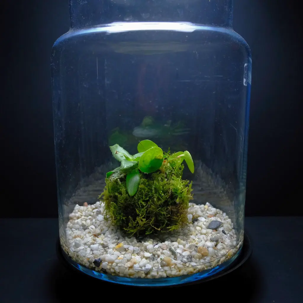 DSCF7766.webp