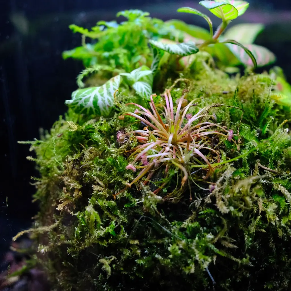 DSCF7796.webp