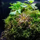 DSCF7796.webp