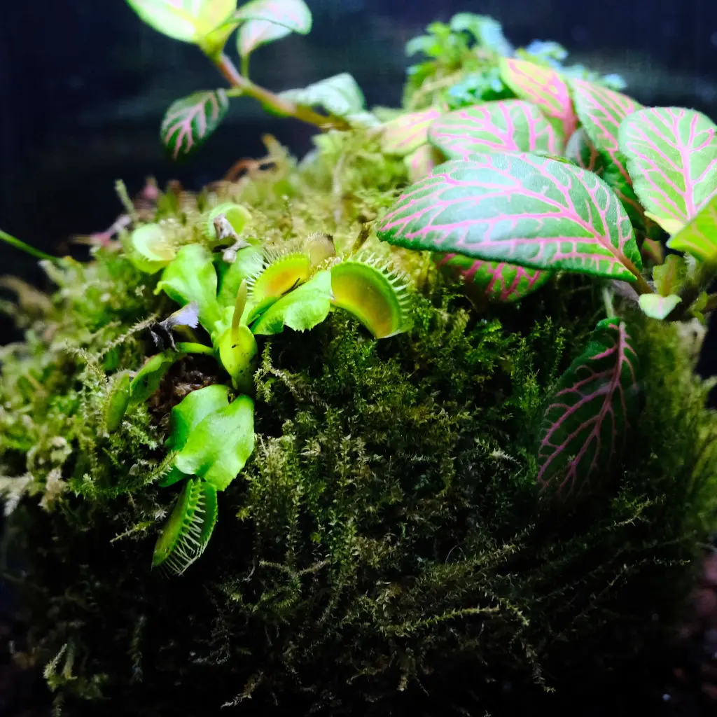 DSCF7800.webp