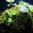 DSCF7800.webp