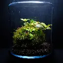 DSCF7788.webp