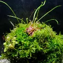 DSCF7636.webp