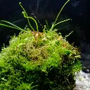 DSCF7646.webp