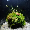 DSCF7626.webp