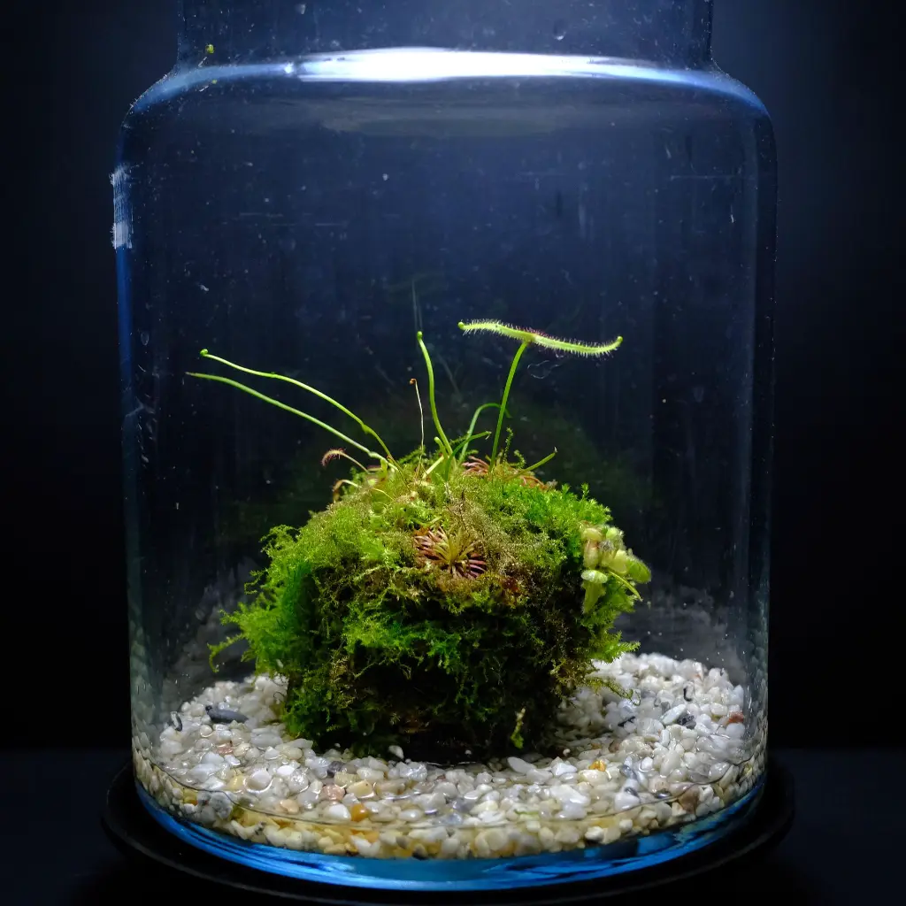 DSCF7623.webp