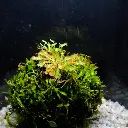 DSCF7665.webp