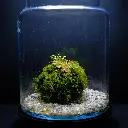 DSCF7675.webp