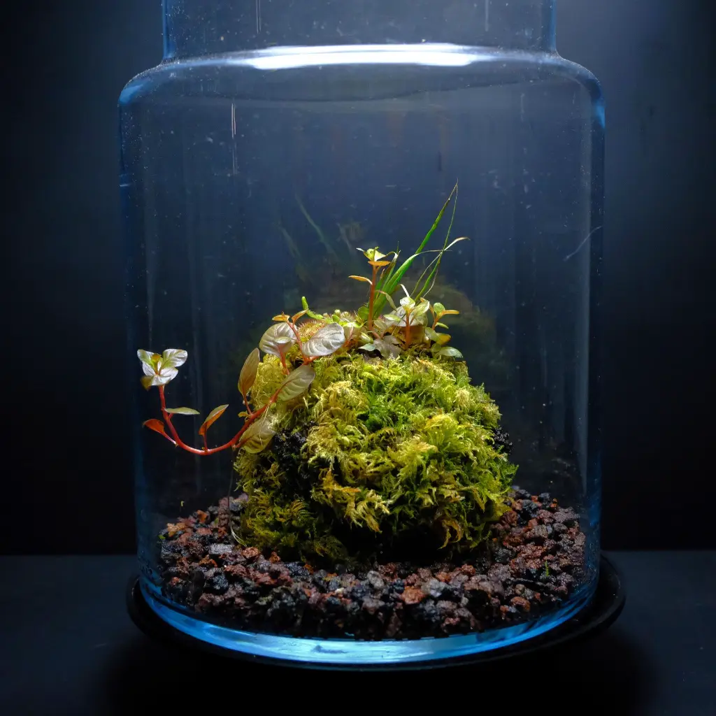 DSCF7810.webp