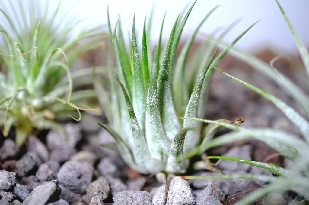 DSCF5938.webp
