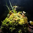 DSCF7817.webp