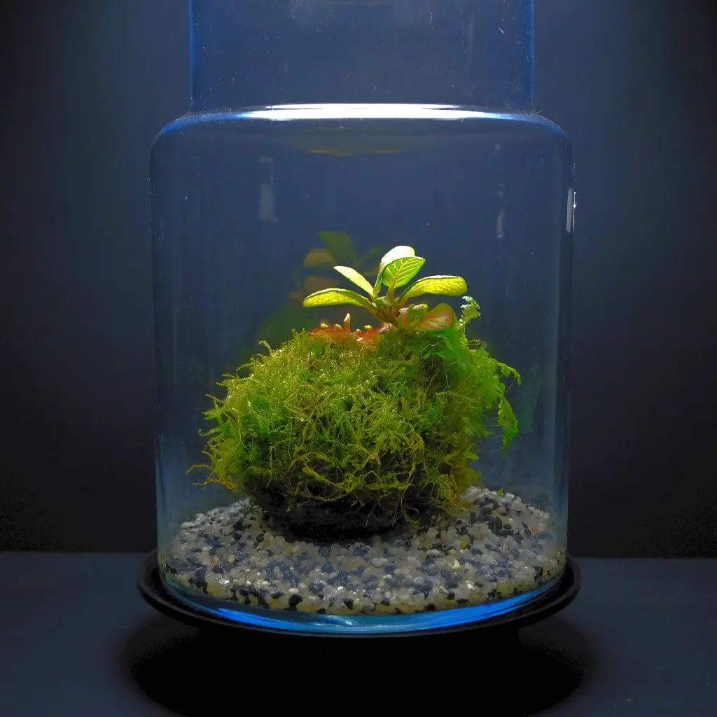 DSCF7682.webp