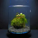 DSCF7682.webp