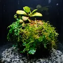 DSCF7699.webp