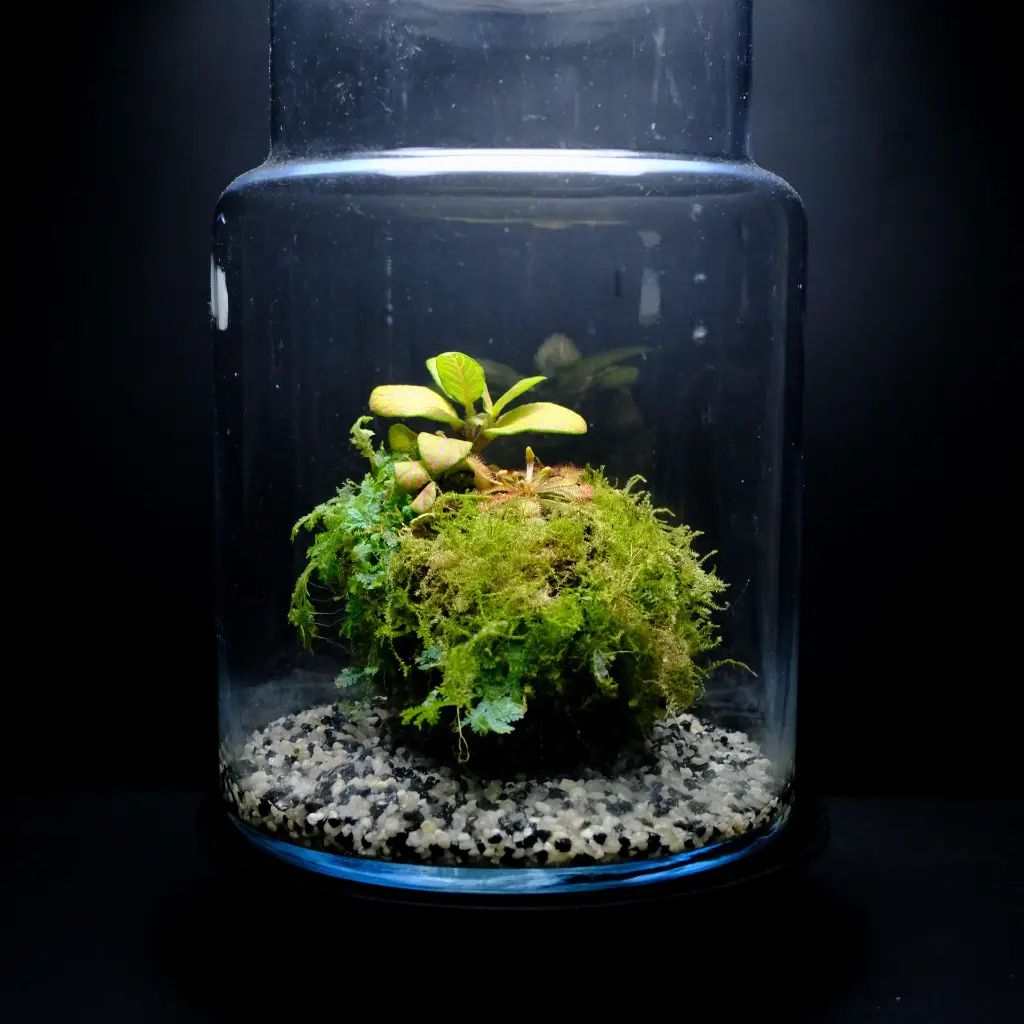 DSCF7691.webp