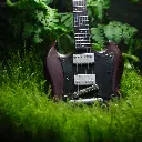 DSCF0965.webp