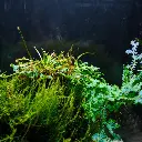 DSCF7753.webp
