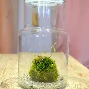 DSCF7571.webp